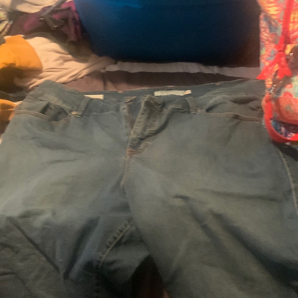 Torrid jeggings